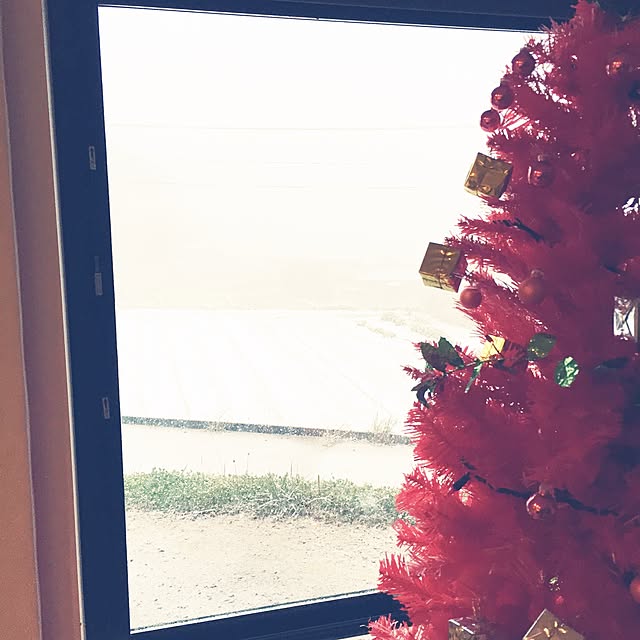 m4さんの実例写真