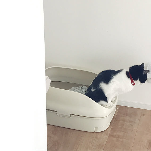 Yさんの実例写真