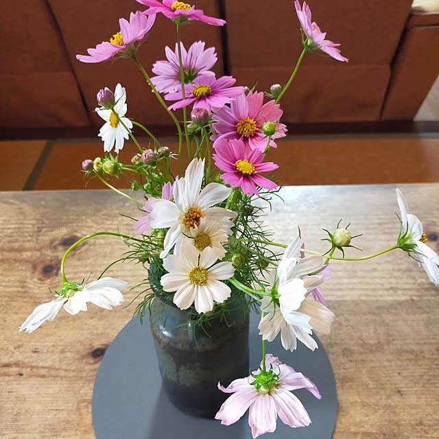 michiさんの実例写真