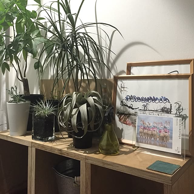 ベッド周り/DIY/観葉植物のインテリア実例 - 2016-09-03 18:36:00