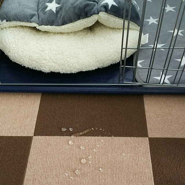 kojikojiさんの実例写真
