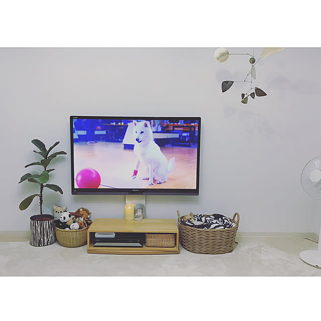 haruhinaさんの実例写真