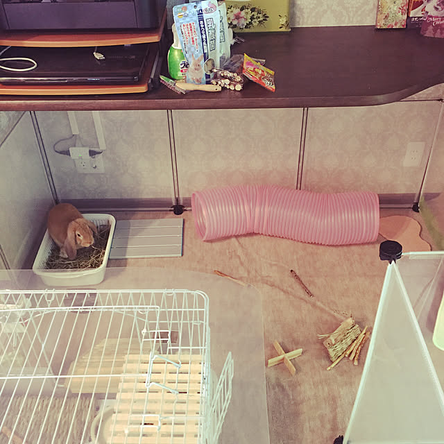 nonさんの実例写真