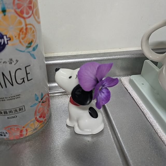 minnieさんの部屋