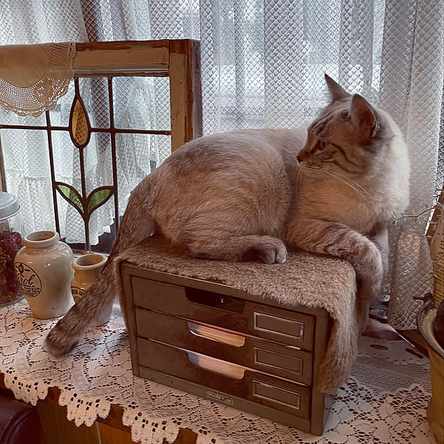 Rt_styleさんの実例写真