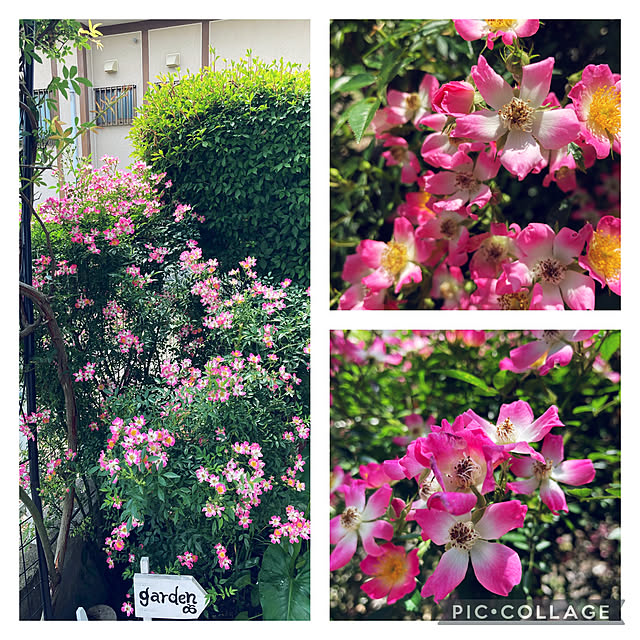 CoCo0617さんの実例写真
