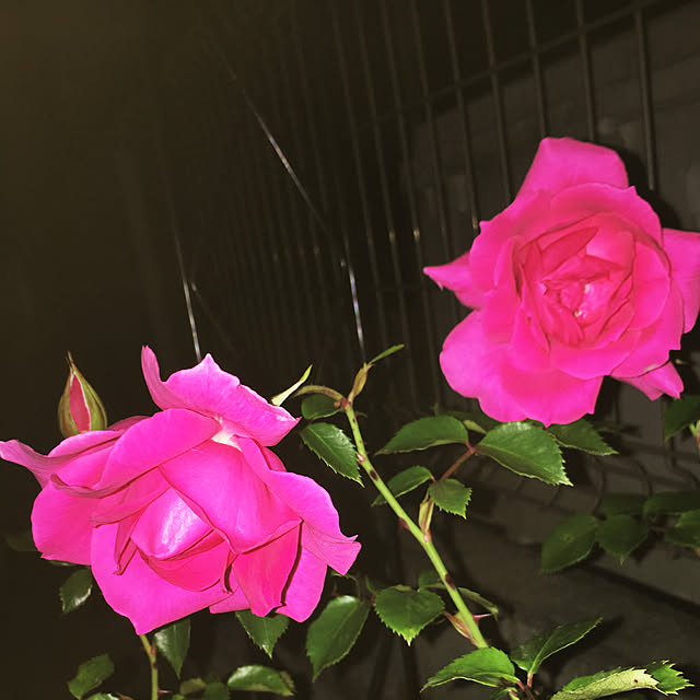 rubeさんの実例写真