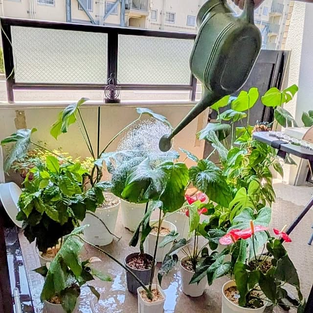 kolo92さんの部屋