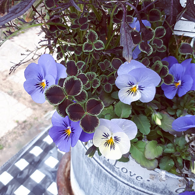 min_nimさんの実例写真