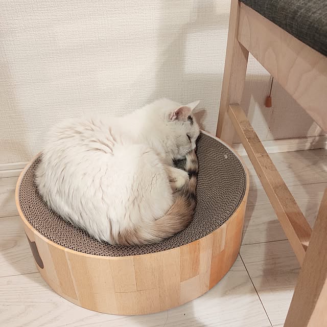 MUKUTOU_namikoさんの実例写真