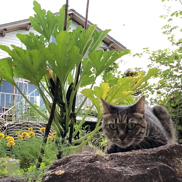 weさんの実例写真