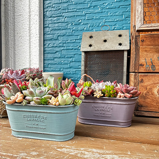 buchikoさんの実例写真