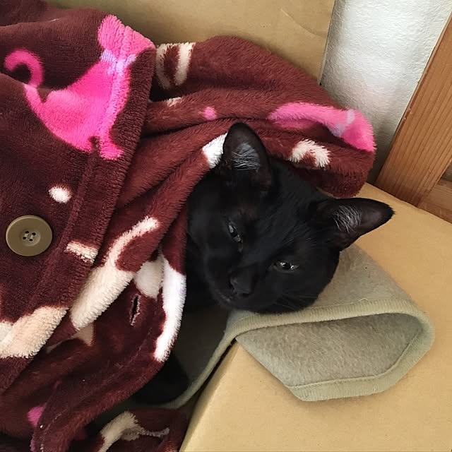 mahi1101さんの実例写真