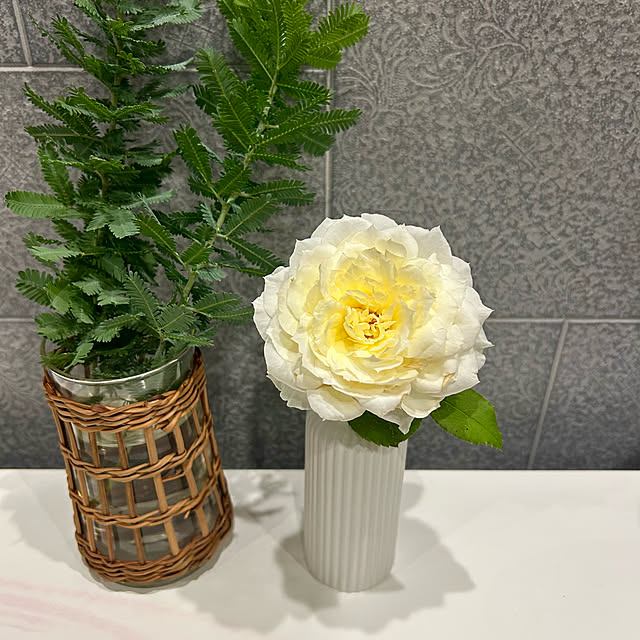 banbinaさんの部屋