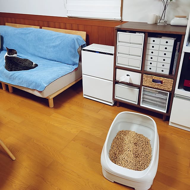nachiさんの実例写真