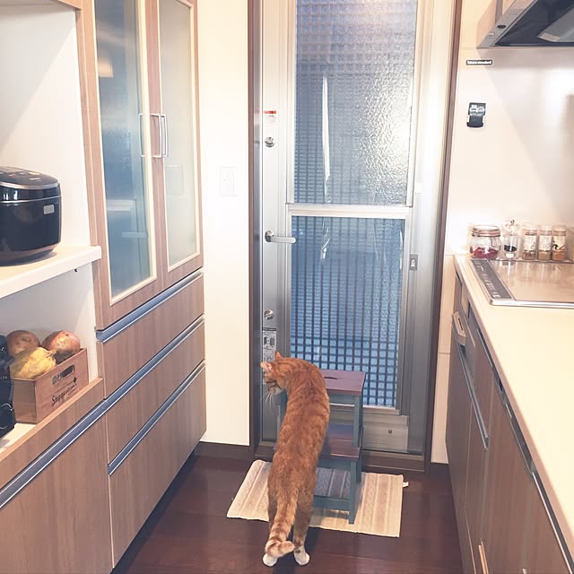 motimotinonikuさんの実例写真