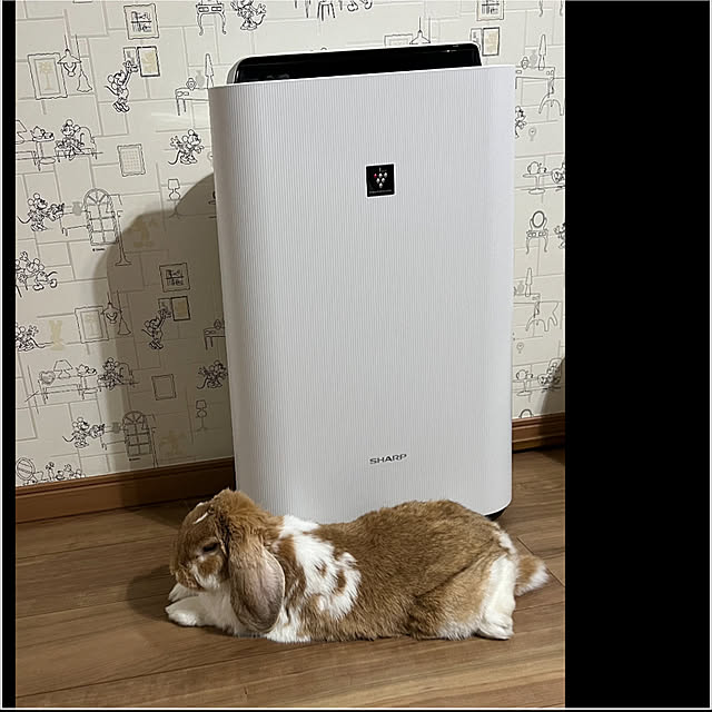 rantarouさんの実例写真