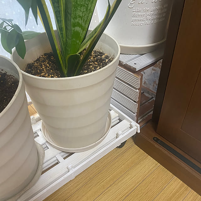 YuuKoさんの部屋