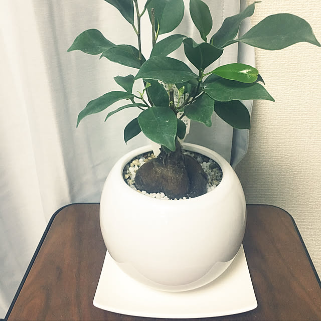 tk0105さんの実例写真