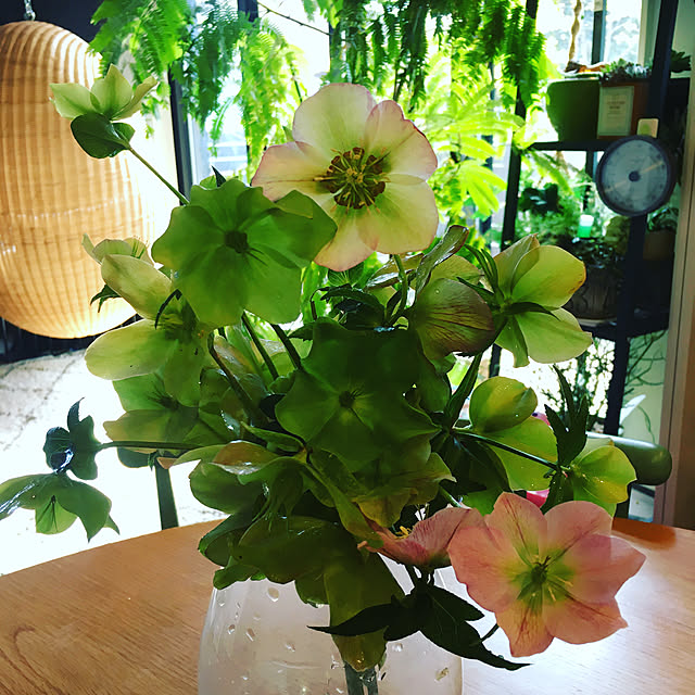 tmeoさんの実例写真