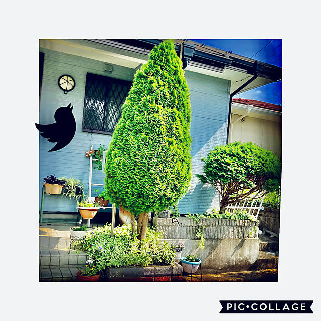 CoCo0617さんの実例写真