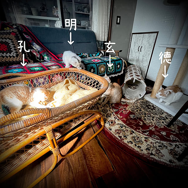 marusanさんの実例写真