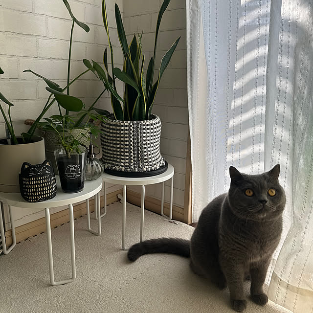 kittyさんの部屋