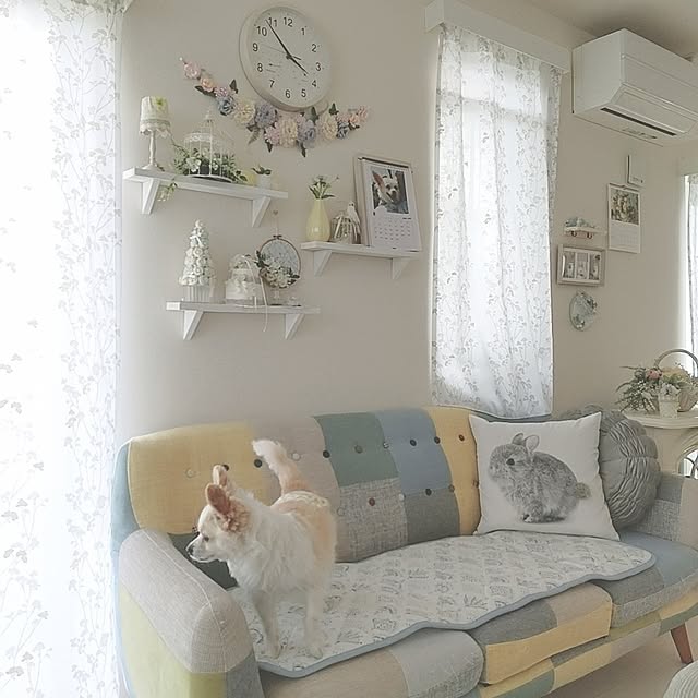 PAOさんの実例写真