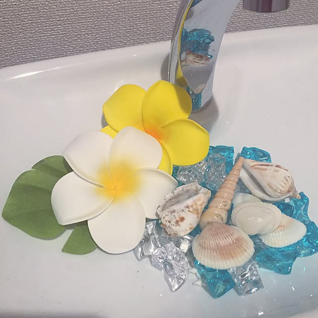 chie_teddyさんの実例写真