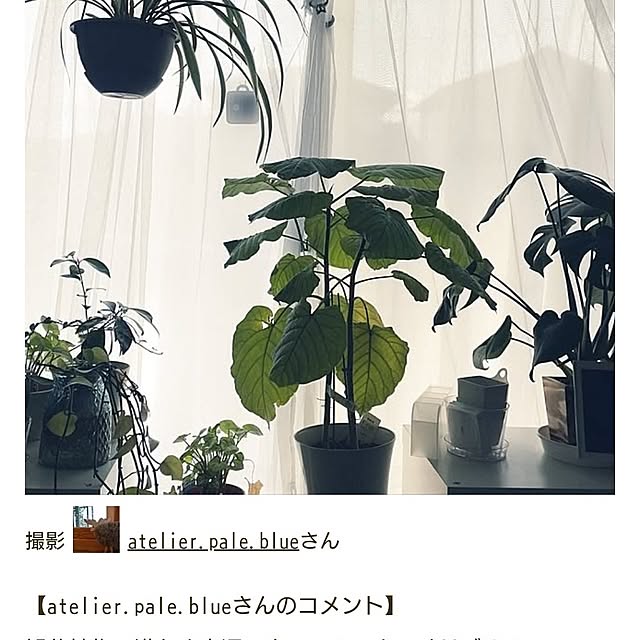 atelier.pale.blueさんの部屋