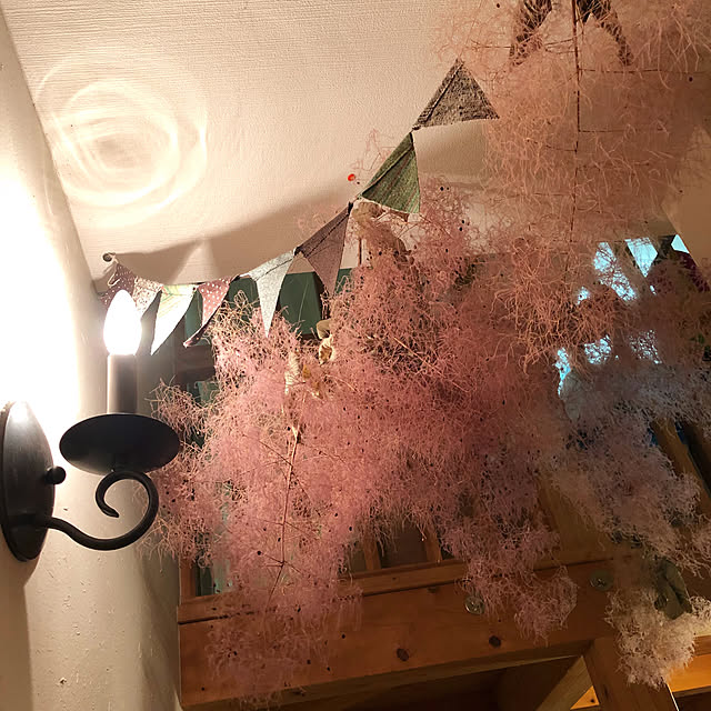 naho81078さんの実例写真