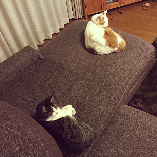 Rettiさんの実例写真
