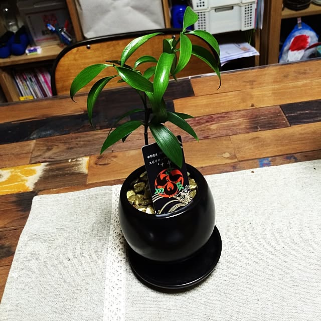 ahmohさんの実例写真