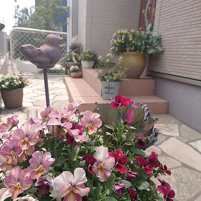 yaikoさんの実例写真