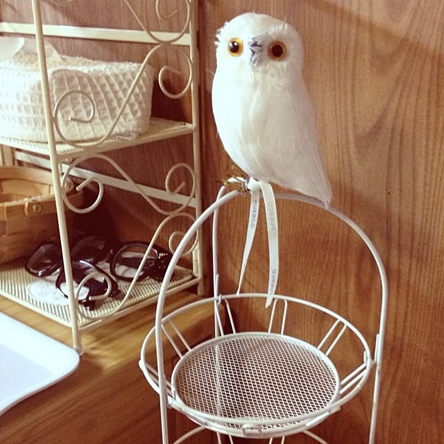 aikoさんの実例写真