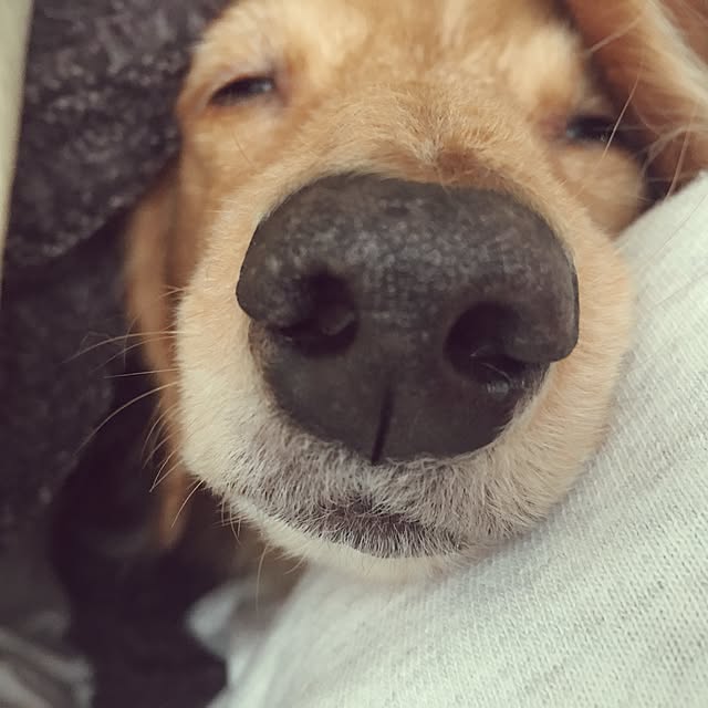 miyuさんの実例写真