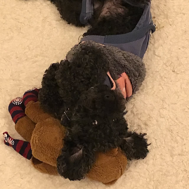 jillさんの実例写真