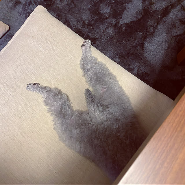 meguko.ryanさんの実例写真