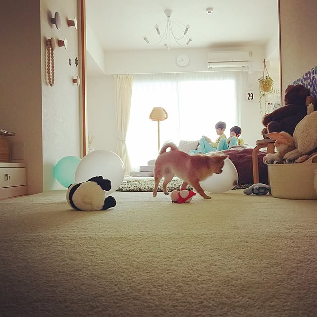 haruhinaさんの実例写真