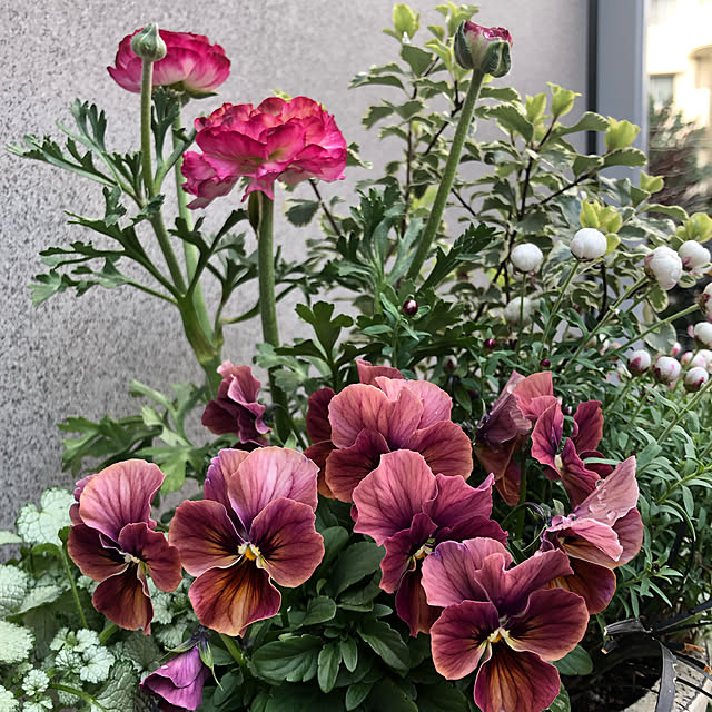 kyoko1124koさんの実例写真