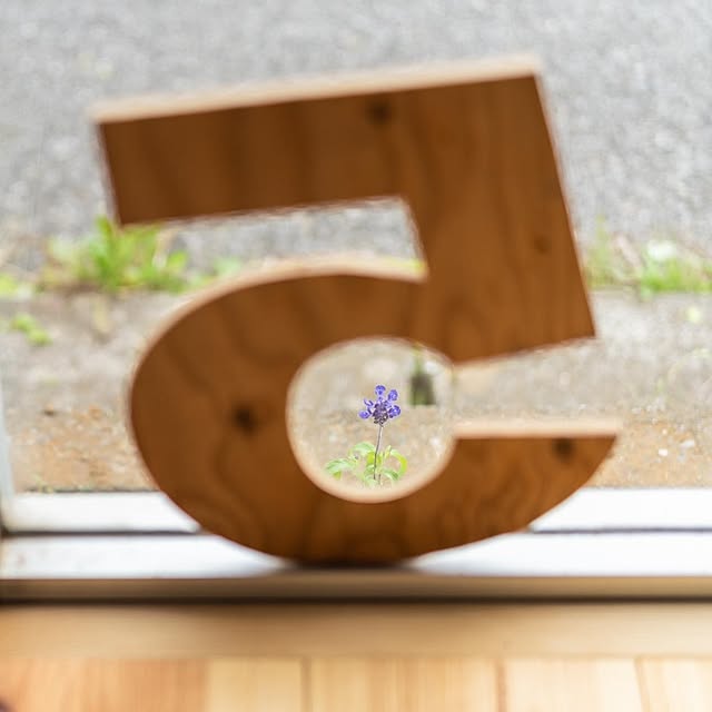 KURA5_53さんの実例写真