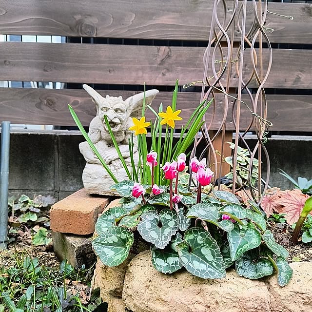 gin_mamaさんの実例写真