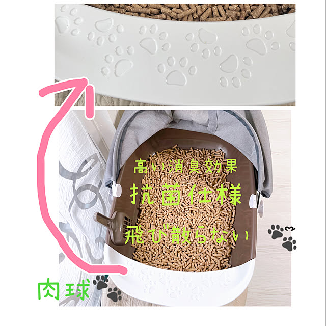 posauruさんの実例写真