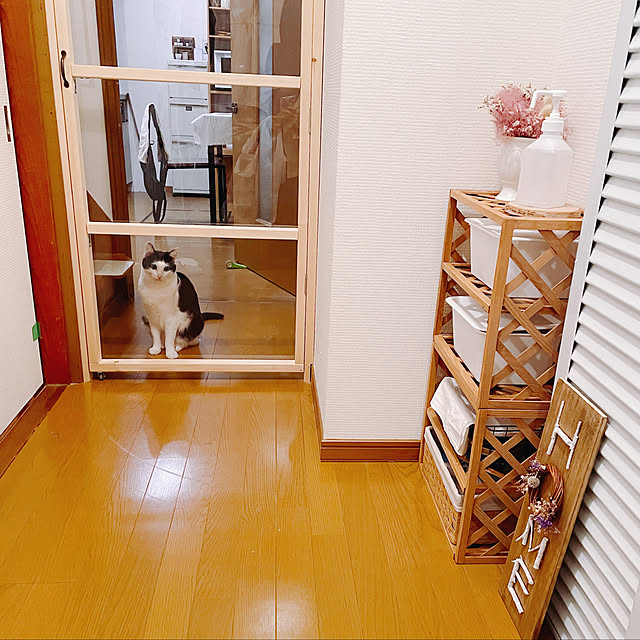 harukaさんの実例写真