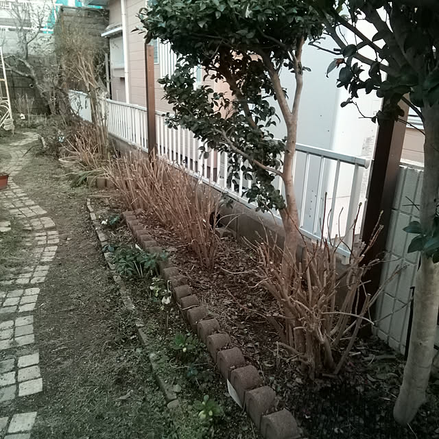 mariagardenさんの実例写真