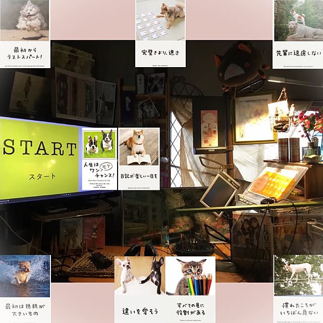 MEMO.2017.REALさんの実例写真