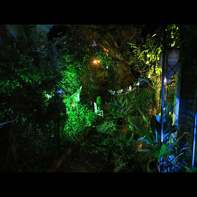 sixflagsさんの実例写真