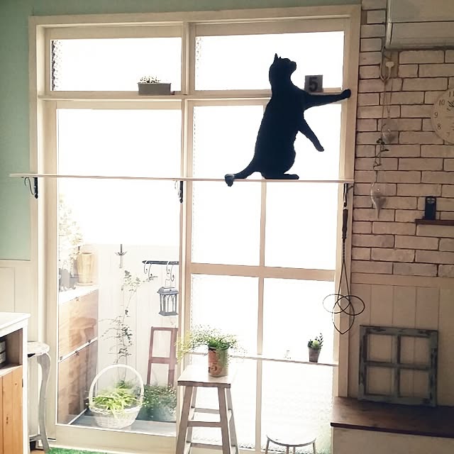 mikiさんの実例写真