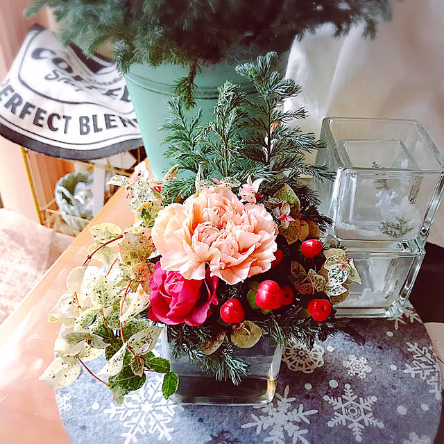 portulacaさんの実例写真