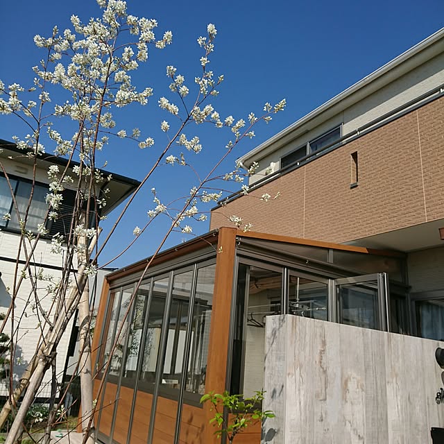 momoharuさんの実例写真